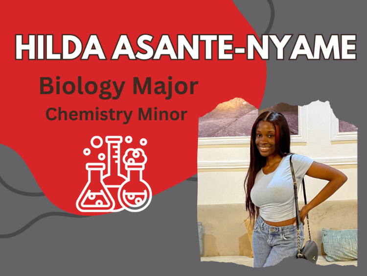 Hilda Asante-Nyame, Biology Major, Chemistry Minor. Hilda is a young Black woman posing in front of a sofa and art. She is smiling confidently, with a hand on her hip
