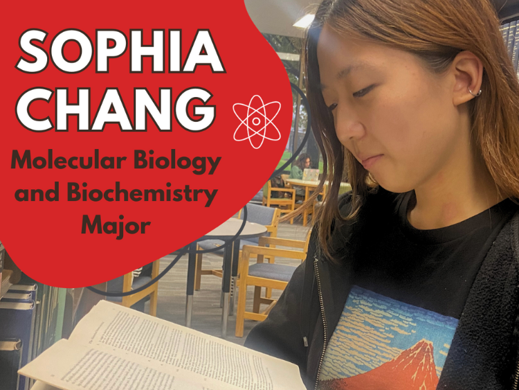 Sophia Chang, Neuroscience and Behavior Major. Imani is a young woman of color looking at the camera with a solemn but confident expression.